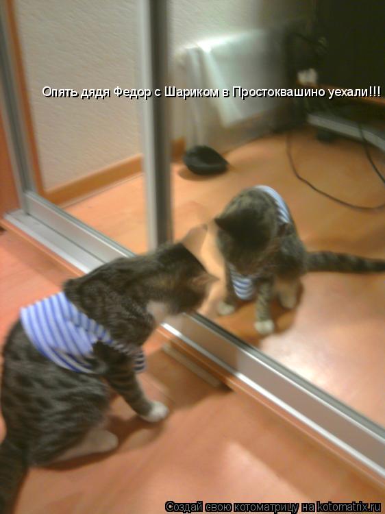 Опять дядя Федор с Шариком в Простоквашино уехали!!!... Котоматрица: Опять дядя Федор с Шариком в Простоквашино уехали!!!