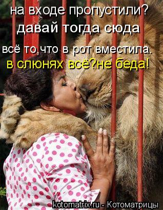 на входе пропустили? давай тогда сюда всё то,что в рот вместила. в слюнях всё?не беда!... Котоматрица: на входе пропустили? давай тогда сюда всё то,что в рот вместила. в слюнях всё?не беда!