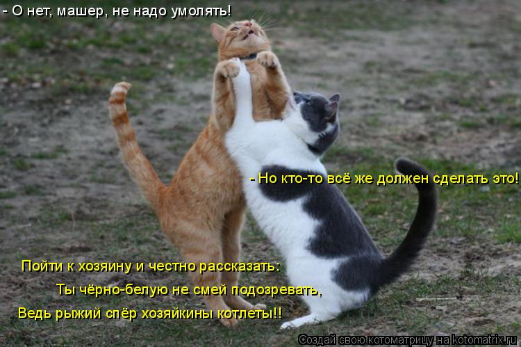 - О нет, машер, не надо умолять! - Но кто-то всё же должен сделать это! Пойти к хозяину и честно расс... Котоматрица: - О нет, машер, не надо умолять! - Но кто-то всё же должен сделать это! Пойти к хозяину и честно рассказать: Ты чёрно-белую не смей подозревать,