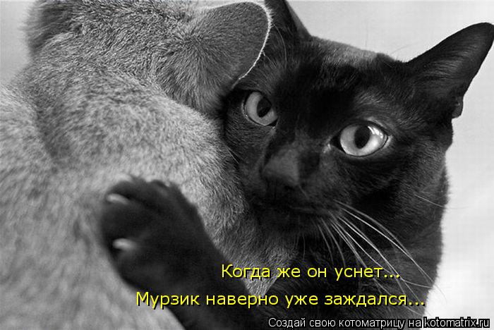 Когда же он уснет... Мурзик наверно уже заждался...... Котоматрица: Когда же он уснет... Мурзик наверно уже заждался...