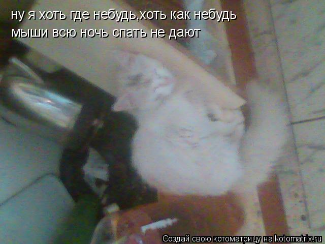 ну я хоть где небудь,хоть как небудь ну я хоть где небудь,хоть как небудь мыши всю ночь спать не дают... Котоматрица: ну я хоть где небудь,хоть как небудь ну я хоть где небудь,хоть как небудь мыши всю ночь спать не дают