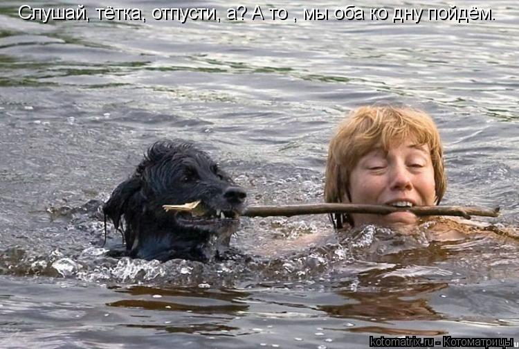 Слушай, тётка, отпусти, а? А то , мы оба ко дну пойдём.... Котоматрица: Слушай, тётка, отпусти, а? А то , мы оба ко дну пойдём.