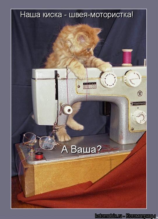 Наша киска - швея-мотористка! А Ваша?... Котоматрица: Наша киска - швея-мотористка! А Ваша?