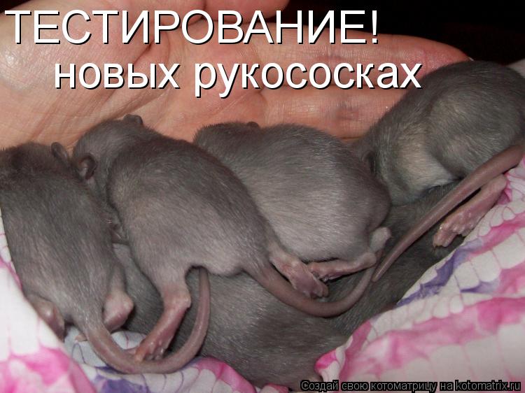 ТЕСТИРОВАНИЕ! новых рукососках... Котоматрица: ТЕСТИРОВАНИЕ! новых рукососках