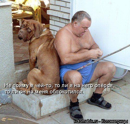 Не пойму я чёй-то, то ли я на него опёрся, то ли он на меня облокотился.... Котоматрица: Не пойму я чёй-то, то ли я на него опёрся, то ли он на меня облокотился.