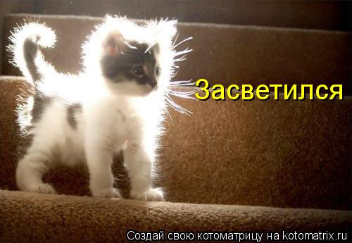 Засветился... Котоматрица: Засветился