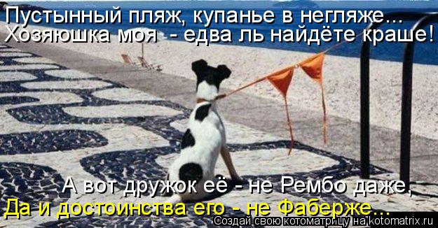 Да и достоинства его - не Фаберже... Пустынный пляж, купанье в негляже... Хозяюшка моя - едва ль най... Котоматрица: Да и достоинства его - не Фаберже... Пустынный пляж, купанье в негляже... Хозяюшка моя - едва ль найдёте краше! А вот дружок её - не Рембо даже,