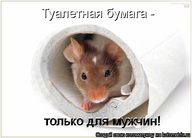 Туалетная бумага - только для мужчин! только для мужчин!... Котоматрица: Туалетная бумага - только для мужчин! только для мужчин!