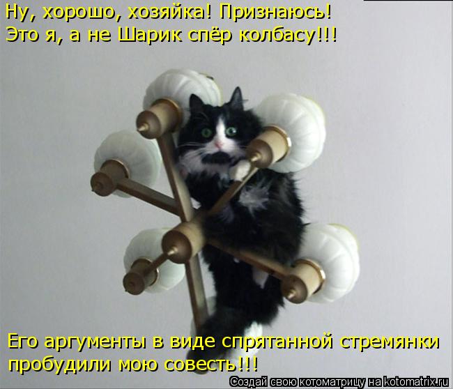 Ну, хорошо, хозяйка! Признаюсь! Это я, а не Шарик спёр колбасу!!! Его аргументы в виде спрятанной стр... Котоматрица: Ну, хорошо, хозяйка! Признаюсь! Это я, а не Шарик спёр колбасу!!! Его аргументы в виде спрятанной стремянки пробудили мою совесть!!!
