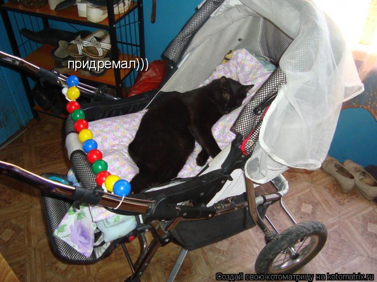 придремал)))... Котоматрица: придремал)))