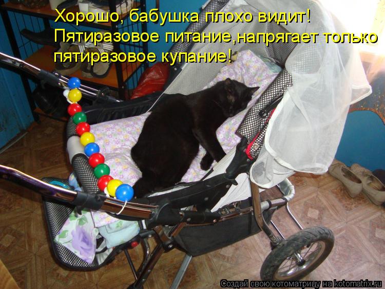 Хорошо, бабушка плохо видит! Пятиразовое питание, напрягает только пятиразовое купание!... Котоматрица: Хорошо, бабушка плохо видит! Пятиразовое питание, напрягает только пятиразовое купание!