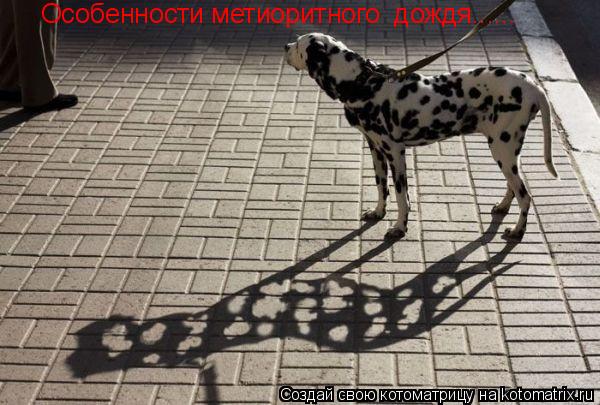 Особенности метиоритного дождя......... Котоматрица: Особенности метиоритного дождя......