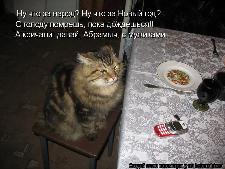 Ну что за народ? Ну что за Новый год? С голоду помрёшь, пока дождёшься!! А кричали: давай, Абрамыч, ... Котоматрица: Ну что за народ? Ну что за Новый год? С голоду помрёшь, пока дождёшься!! А кричали: давай, Абрамыч, с мужиками...