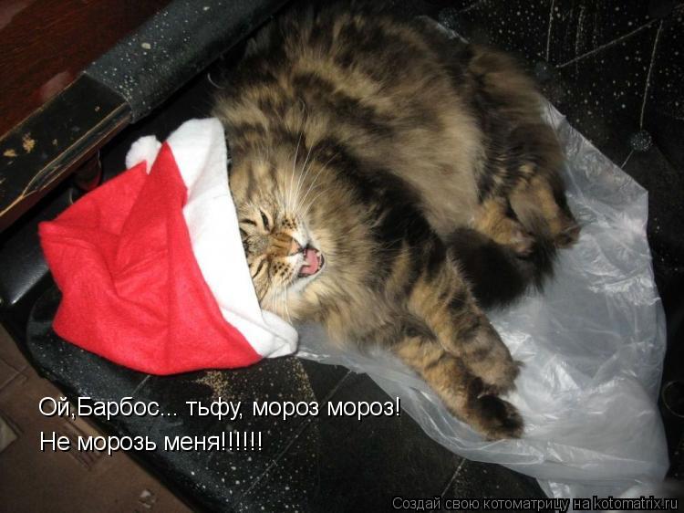 Ой,Барбос... тьфу, мороз мороз! Не морозь меня!!!!!!... Котоматрица: Ой,Барбос... тьфу, мороз мороз! Не морозь меня!!!!!!
