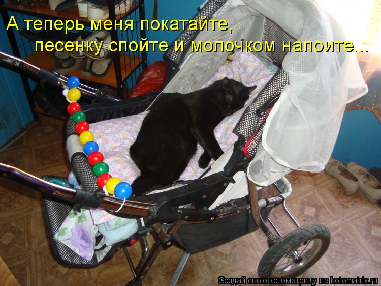 А теперь меня покатайте, песенку спойте и молочком напоите...... Котоматрица: А теперь меня покатайте, песенку спойте и молочком напоите...