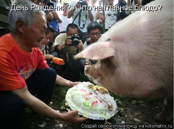 - День Рождения? А что на главное блюдо?... Котоматрица: - День Рождения? А что на главное блюдо?