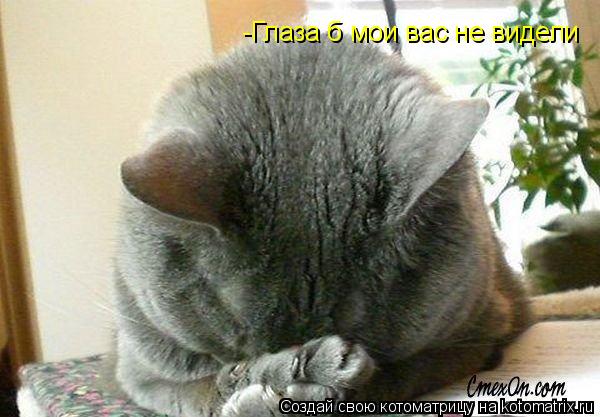-Глаза б мои вас не видели... Котоматрица: -Глаза б мои вас не видели