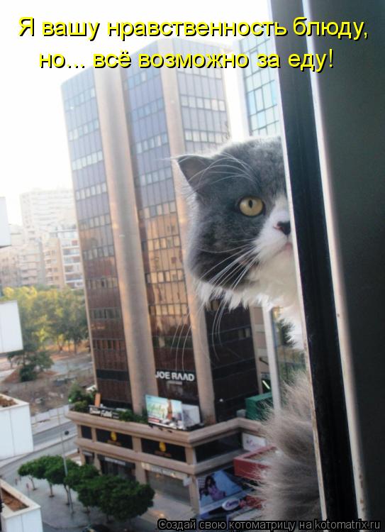 Я вашу нравственность блюду, но... всё возможно за еду!... Котоматрица: Я вашу нравственность блюду, но... всё возможно за еду!