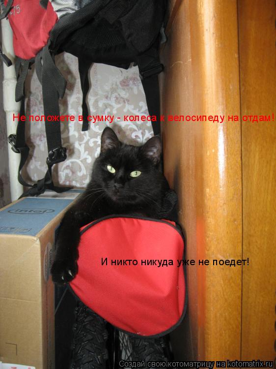 Не положете в сумку - колеса к велосипеду на отдам! И никто никуда уже не поедет!... Котоматрица: Не положете в сумку - колеса к велосипеду на отдам! И никто никуда уже не поедет!