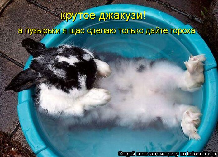 крутое джакузи! а пузырьки я щас сделаю только дайте гороха... Котоматрица: крутое джакузи! а пузырьки я щас сделаю только дайте гороха