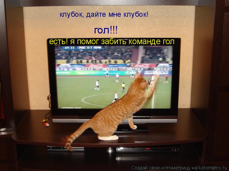 клубок, дайте мне клубок! гол!!! есть! я помог забить команде гол... Котоматрица: клубок, дайте мне клубок! гол!!! есть! я помог забить команде гол