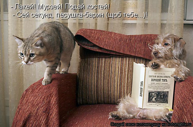 - Сей секунд, пёсушка-барин (щоб тебе...)! - Лакей! Мурзей! Подай костей!... Котоматрица: - Сей секунд, пёсушка-барин (щоб тебе...)! - Лакей! Мурзей! Подай костей!