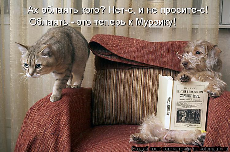 Ах облаять кого? Нет-с, и не просите-с! Облаять - это теперь к Мурзику!... Котоматрица: Ах облаять кого? Нет-с, и не просите-с! Облаять - это теперь к Мурзику!