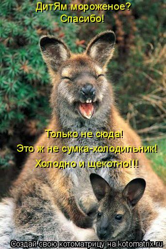 ДитЯм мороженое? Спасибо! Только не сюда! Это ж не сумка-холодильник! Холодно и щекотно!!!... Котоматрица: ДитЯм мороженое? Спасибо! Только не сюда! Это ж не сумка-холодильник! Холодно и щекотно!!!