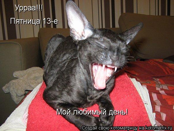 Урраа!!! Пятница 13-е Мой любимый день!... Котоматрица: Урраа!!! Пятница 13-е Мой любимый день!