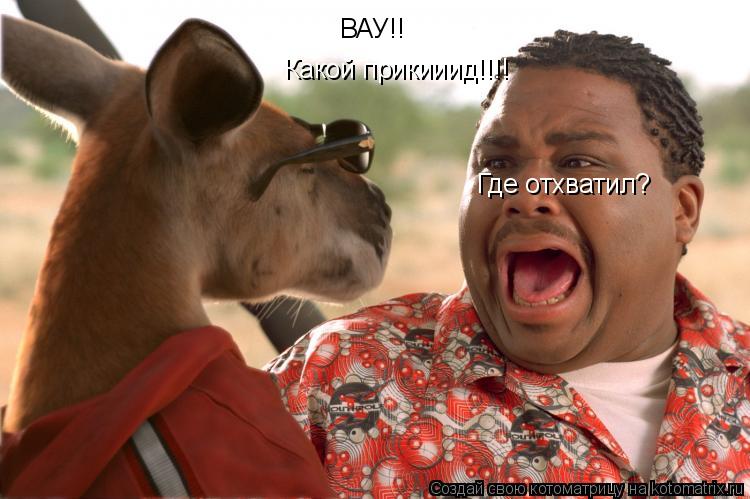 ВАУ!! Какой прикииид!!!! Где отхватил?... Котоматрица: ВАУ!! Какой прикииид!!!! Где отхватил?