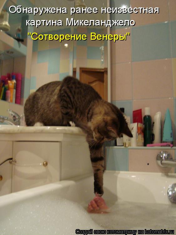 Обнаружена ранее неизвестная картина Микеланджело "Сотворение Венеры"... Котоматрица: Обнаружена ранее неизвестная картина Микеланджело "Сотворение Венеры"