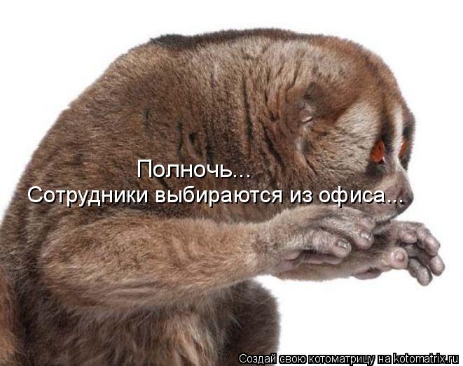 Сотрудники выбираются из офиса... Полночь...... Котоматрица: Сотрудники выбираются из офиса... Полночь...