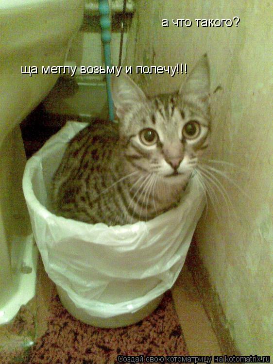 а что такого? ща метлу возьму и полечу!!!... Котоматрица: а что такого? ща метлу возьму и полечу!!!