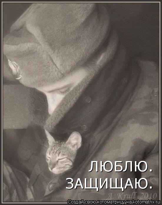 ЛЮБЛЮ. ЗАЩИЩАЮ.... Котоматрица: ЛЮБЛЮ. ЗАЩИЩАЮ.