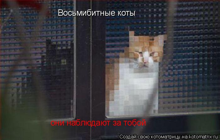 Восьмибитные коты они наблюдают за тобой... Котоматрица: Восьмибитные коты они наблюдают за тобой