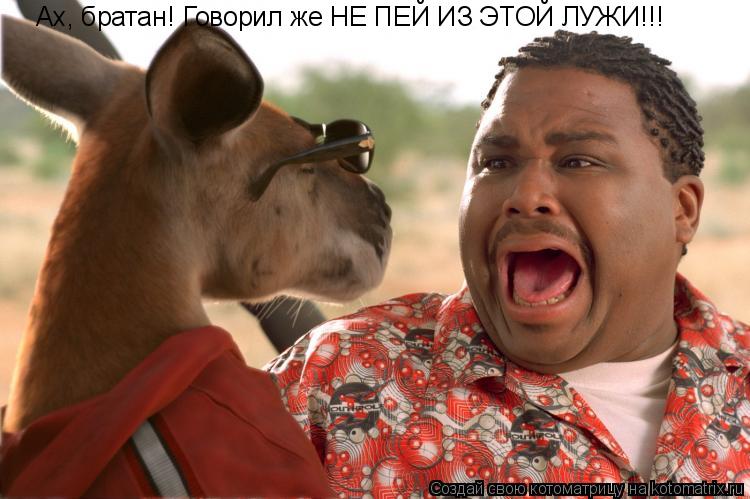 Ах, братан! Говорил же НЕ ПЕЙ ИЗ ЭТОЙ ЛУЖИ!!!... Котоматрица: Ах, братан! Говорил же НЕ ПЕЙ ИЗ ЭТОЙ ЛУЖИ!!!
