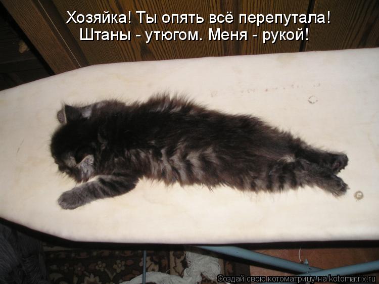 Хозяйка! Ты опять всё перепутала! Штаны - утюгом. Меня - рукой!... Котоматрица: Хозяйка! Ты опять всё перепутала! Штаны - утюгом. Меня - рукой!