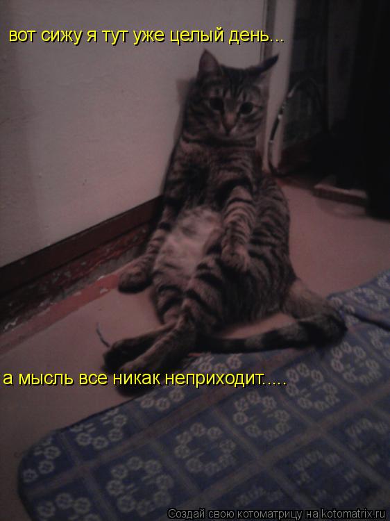 вот сижу я тут уже целый день... а мысль все никак неприходит........ Котоматрица: вот сижу я тут уже целый день... а мысль все никак неприходит.....