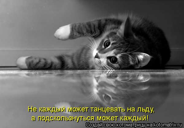 Не каждый может танцевать на льду, а подскользнуться может каждый!... Котоматрица: Не каждый может танцевать на льду, а подскользнуться может каждый!