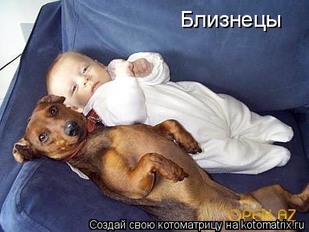 Близнецы... Котоматрица: Близнецы