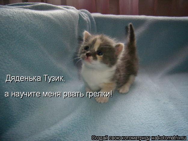 Дяденька Тузик, а научите меня рвать грелки!... Котоматрица: Дяденька Тузик, а научите меня рвать грелки!