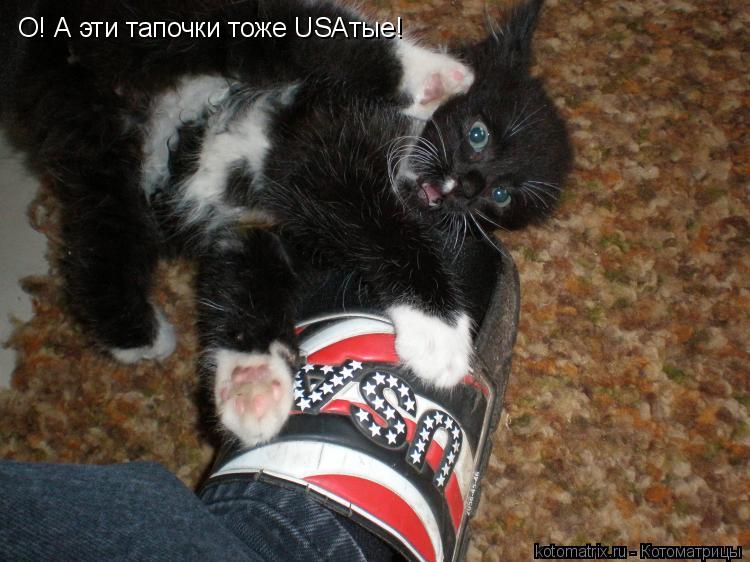 О! А эти тапочки тоже USAтые!... Котоматрица: О! А эти тапочки тоже USAтые!