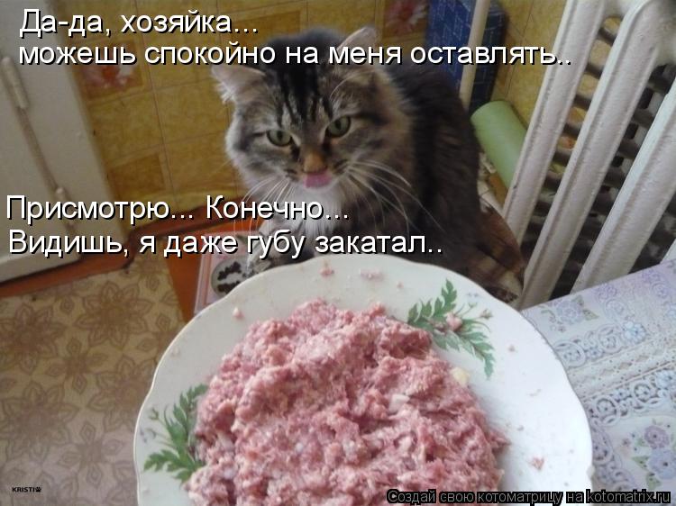 Да-да, хозяйка... можешь спокойно на меня оставлять.. Присмотрю... Конечно... Видишь, я даже губу зак... Котоматрица: Да-да, хозяйка... можешь спокойно на меня оставлять.. Присмотрю... Конечно... Видишь, я даже губу закатал..