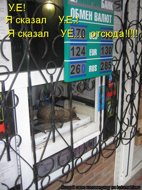 У.Е! Я сказал У.Е.! Я сказал УЕ.... отсюда!!!!!... Котоматрица: У.Е! Я сказал У.Е.! Я сказал УЕ.... отсюда!!!!!