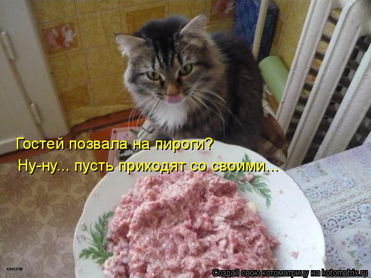 Гостей позвала на пироги? Ну-ну... пусть приходят со своими...... Котоматрица: Гостей позвала на пироги? Ну-ну... пусть приходят со своими...