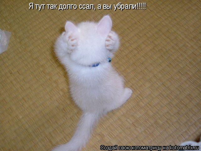 Я тут так долго ссал, а вы убрали!!!!!... Котоматрица: Я тут так долго ссал, а вы убрали!!!!!