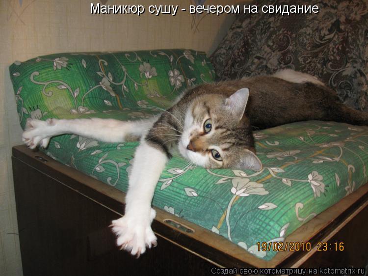Маникюр сушу - вечером на свидание... Котоматрица: Маникюр сушу - вечером на свидание