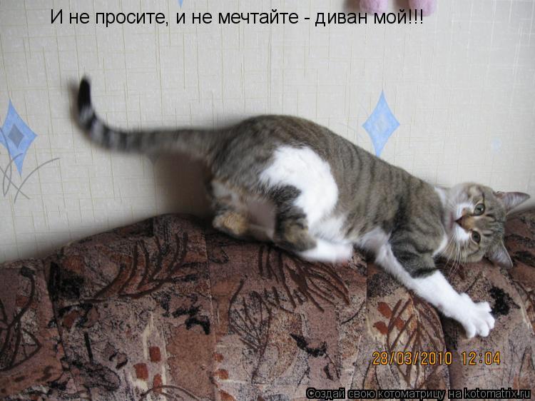 И не просите, и не мечтайте - диван мой!!!... Котоматрица: И не просите, и не мечтайте - диван мой!!!