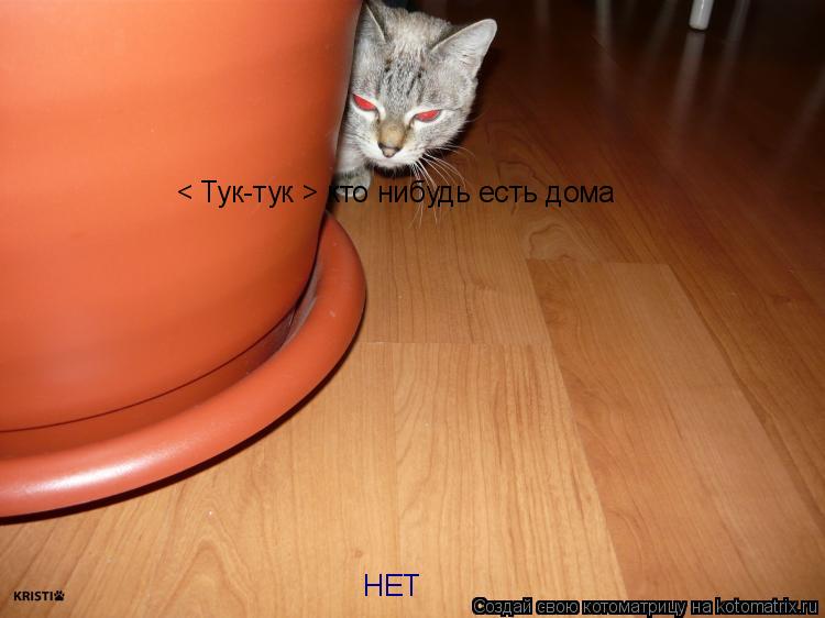 < Тук-тук > кто нибудь есть дома НЕТ... Котоматрица: < Тук-тук > кто нибудь есть дома НЕТ