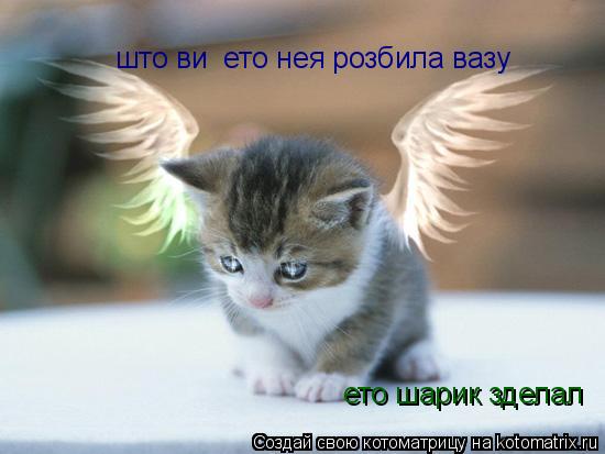 што ви ето нея розбила вазу ето шарик зделал... Котоматрица: што ви ето нея розбила вазу ето шарик зделал